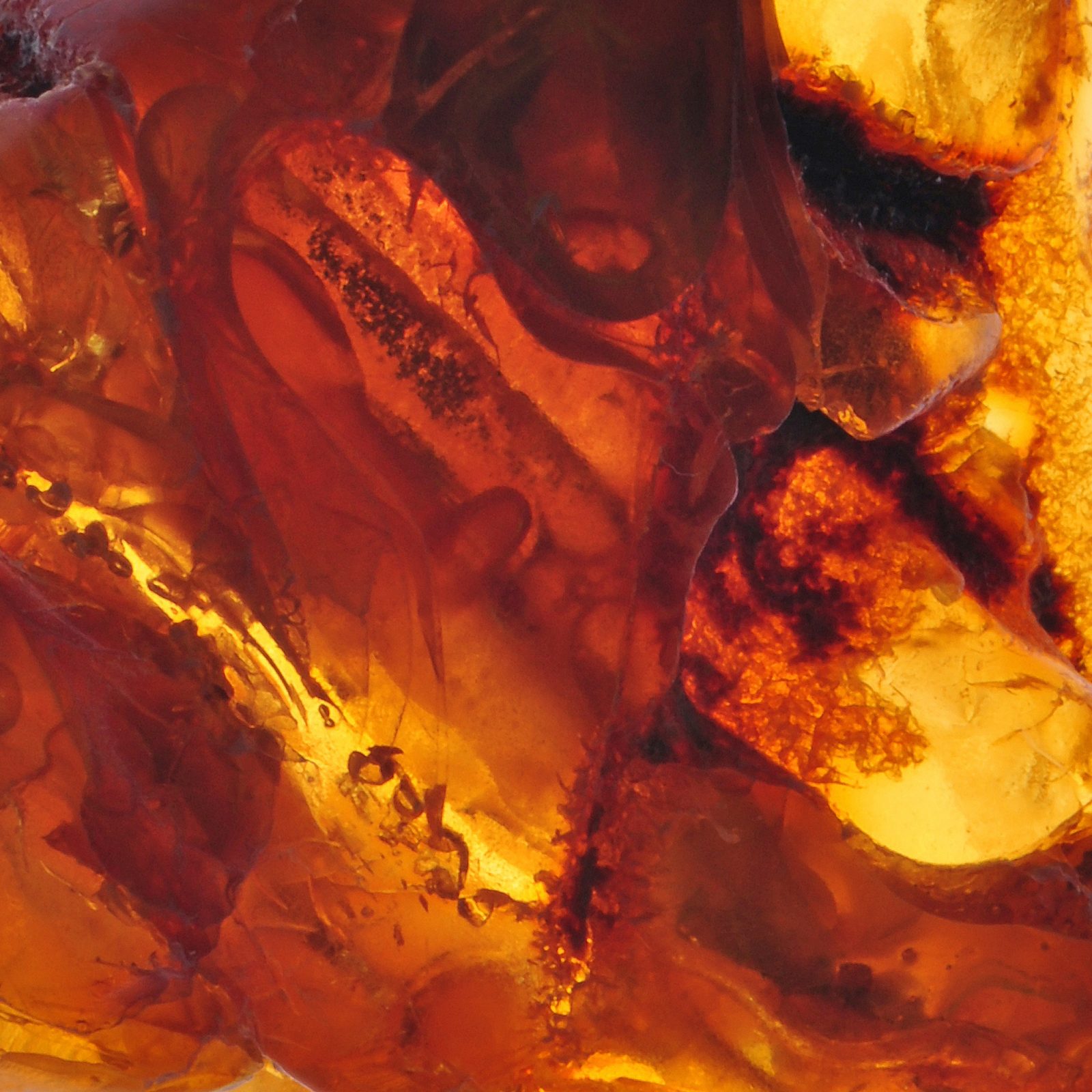 Feuer
