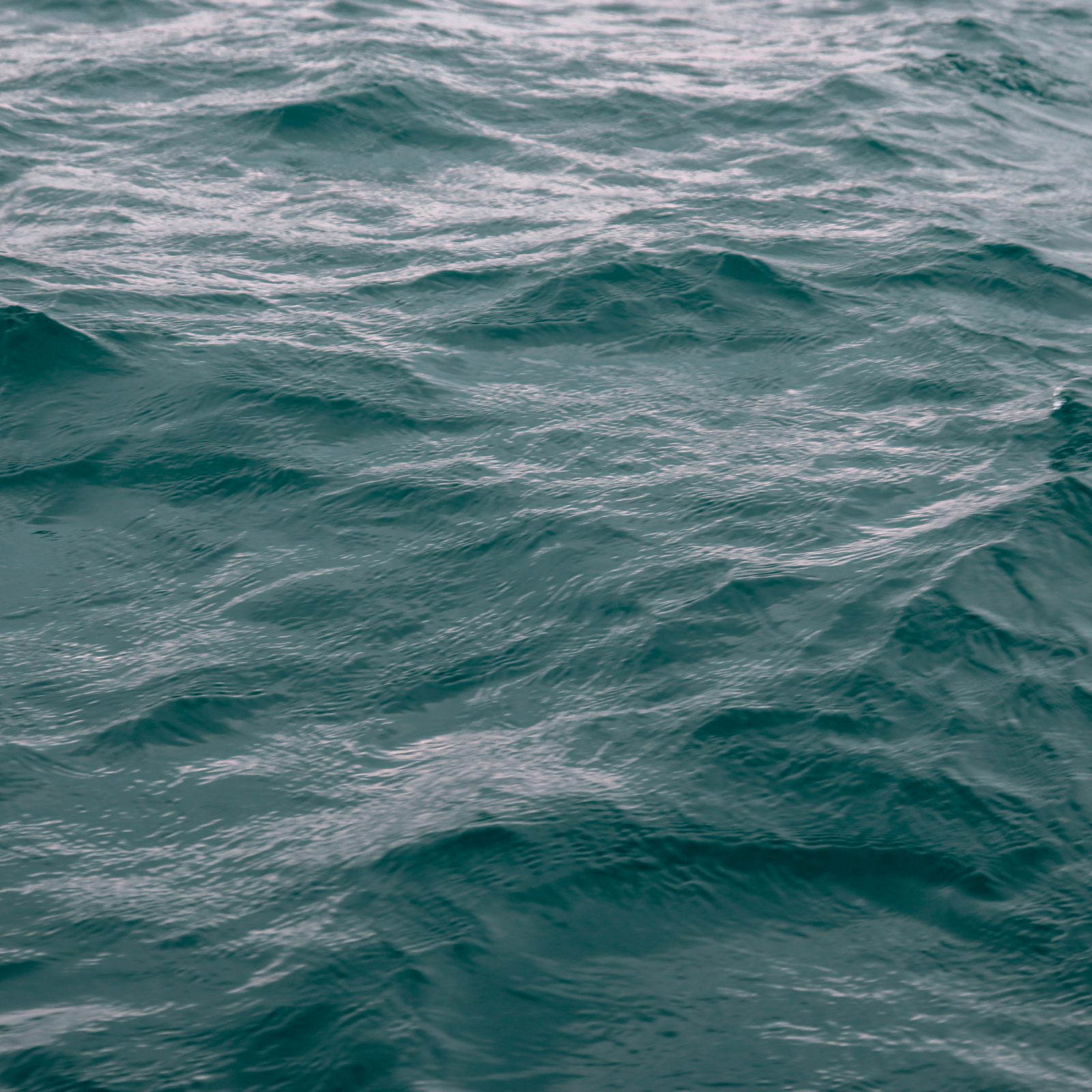 Wasser